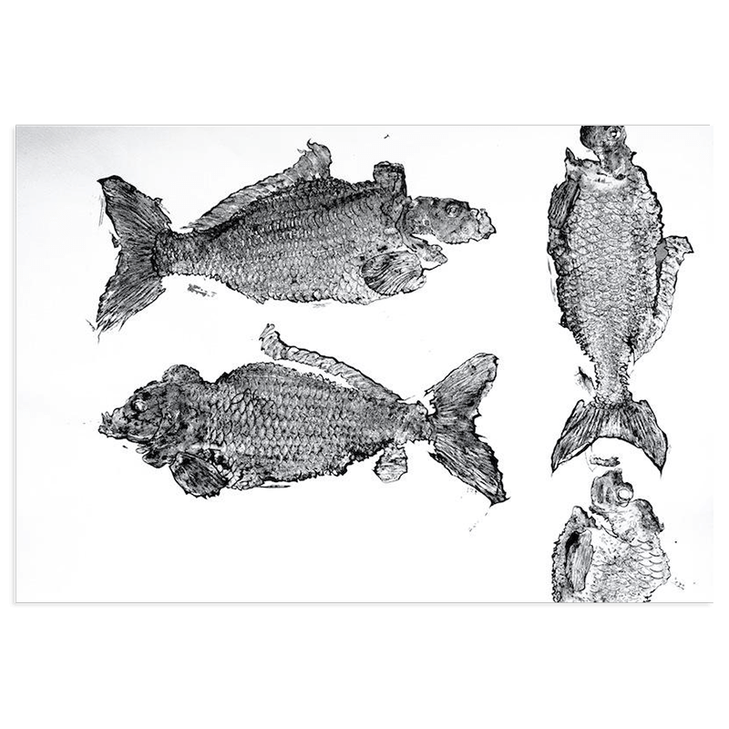 Картина ‘Carpa_113’